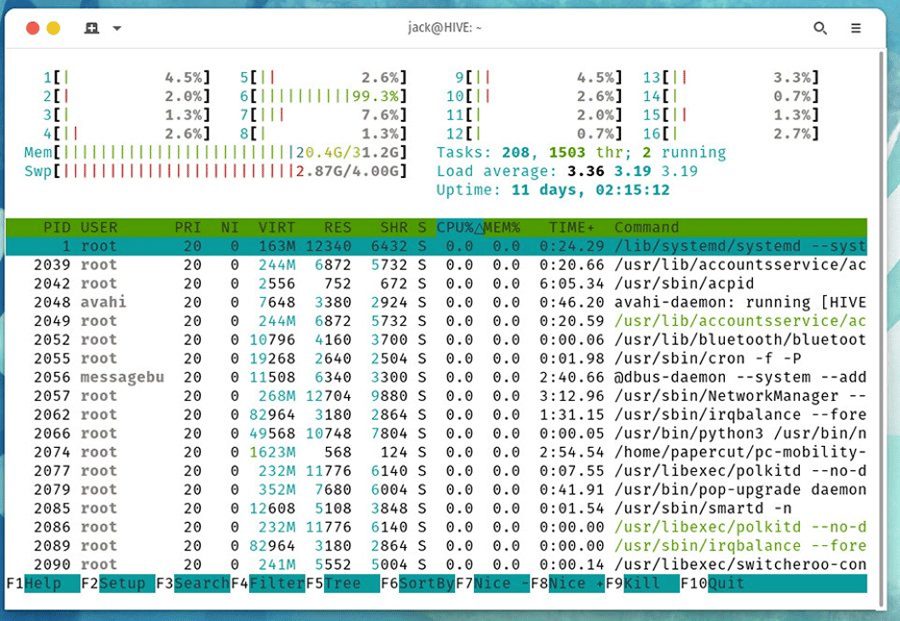 Using the htop command